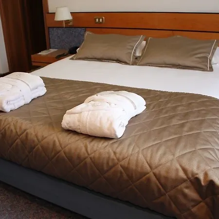 Hotel Delle Alpi Belluno