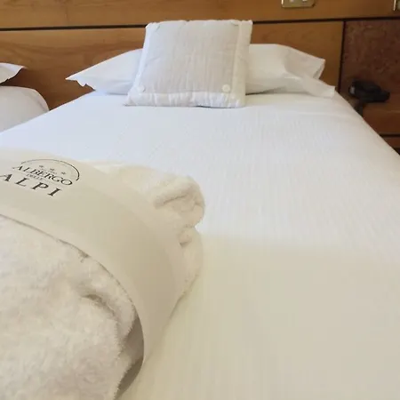 Hotel Delle Alpi