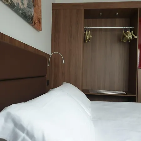 Delle Alpi Hotel Belluno