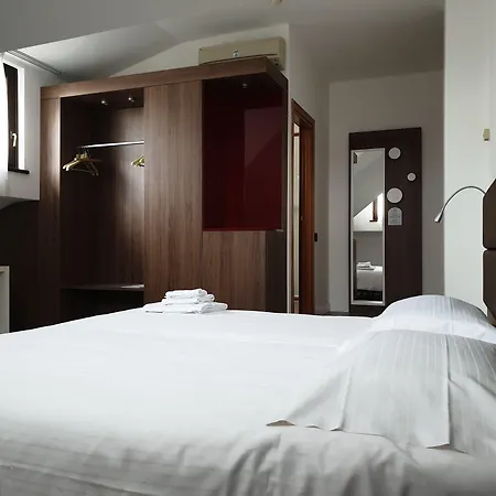 Delle Alpi 호텔 3*