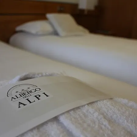 Delle Alpi Hotel 3*