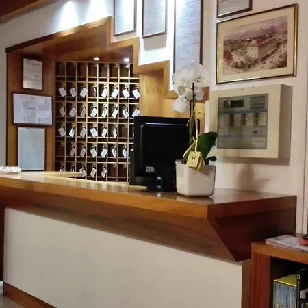 Delle Alpi Hotel Belluno