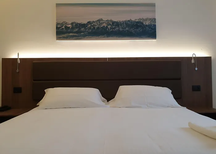 Delle Alpi 3* Belluno