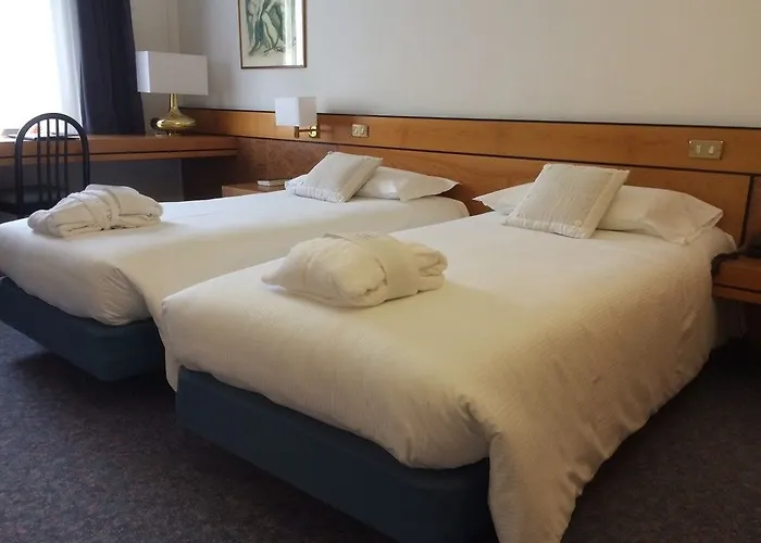 Delle Alpi Hotel Belluno