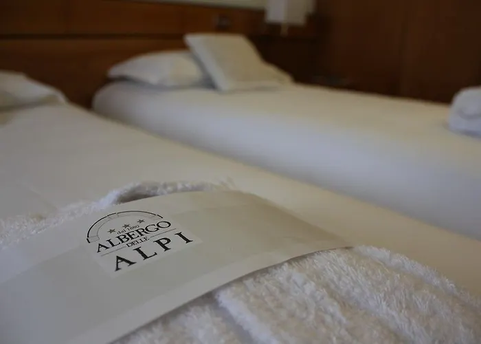 Delle Alpi Hotel 3*