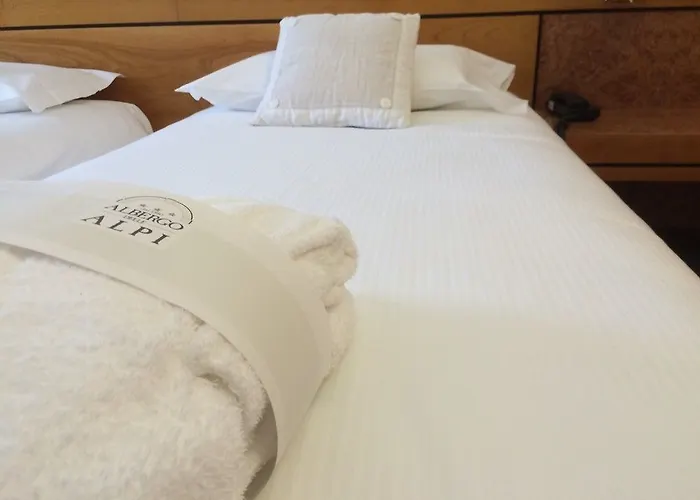 Hotel Delle Alpi